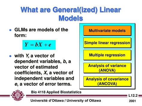 glmm meaning|Introduction to Generalized Linear Mixed Models .